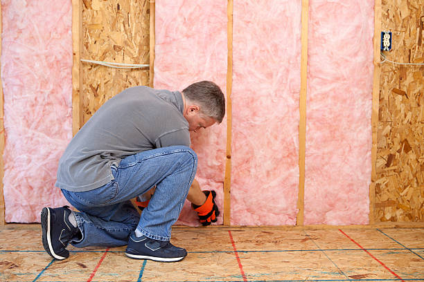 Best Basement Insulation  in Mcchord Af, WA